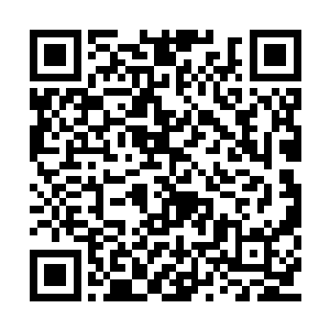 但是苏落这个奇木神脑丹并不是普通的奇木神脑二维码生成
