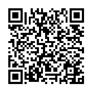 但是苏青黛却能将所有的事情安排得非常合理紧凑二维码生成