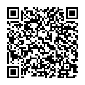 但是若是受孕者在怀胎期间一直吸收月光修炼或者是有足够的阴气滋养的话二维码生成