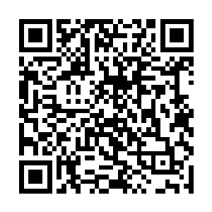 但是英亲王府大公子似乎是发现了我们府内的不寻常二维码生成