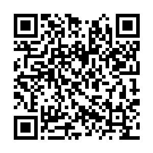 但是莫小鱼来找龙鼎天却又给龙鼎天传递一个信号二维码生成