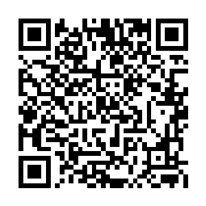 但是萧樱坦然大度的风范还是让蔡亚琴很有好感二维码生成