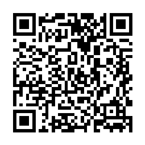 但是萧樱感觉得出来对方对文化这一块工作并不熟悉二维码生成