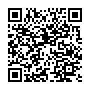 但是董夫人并没有想到她竟然能把最贵重的首饰拿出来二维码生成