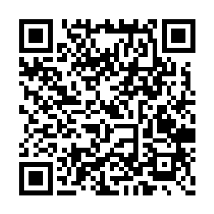 但是董正荣并不会要求他事无巨细都向自己汇报二维码生成