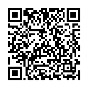 但是虫族在战斗的时候化成原形才能发挥出最强战力二维码生成