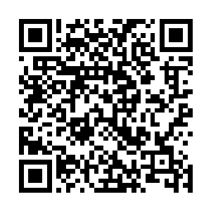 但是蛇天可是在地下一个小小的空间内苟延残喘了无数亿年二维码生成