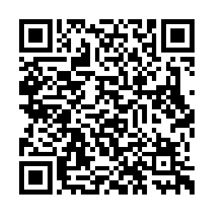 但是被轮胎一只手就抓了回来按在了沙发上坐下二维码生成