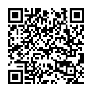 但是要知道很多修士一辈子都触碰不到域主的边界二维码生成