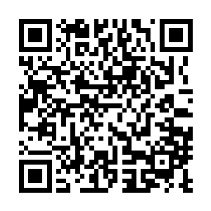 但是要知道这个消息刚开始传播的时候已经是夜里十一点半二维码生成