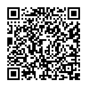 但是见到了这个地图上面的东西之后龙傲天才发现自己想象的有些太简单了二维码生成