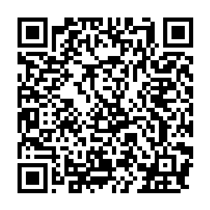 但是见到如此浓郁而又精纯的天地元气龙傲天的心中依旧是无比的震惊二维码生成