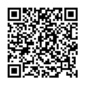 但是见到杨戬手中的火乳灵液之后顿时也是变得不淡定了二维码生成