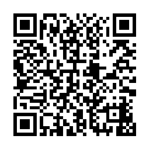 但是见到那个曾经的小表弟已经如同脱胎换骨一般变了个人二维码生成