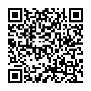 但是觉得安德健不太可能专门把自己从阜头拉夫拉来当陪客二维码生成