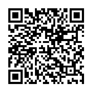 但是许德拉狠辣的手段也是引起了龙族高层的不满二维码生成