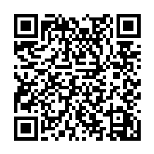 但是许星繁的身上此时也散发着一丝丝圣级的气息二维码生成