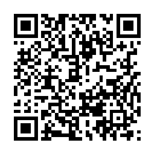 但是许紫烟却能够从她的笑意中看到悲苦藏娇高手二维码生成