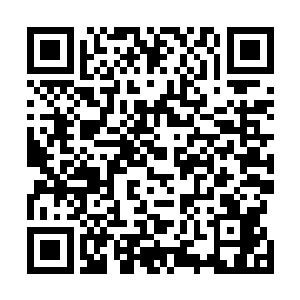 但是许紫烟却能够感觉到她的体内正在凝聚着滂湃的能量二维码生成