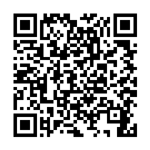 但是谁知道以后自己家族会不会出现一个逆天的弟子啊二维码生成