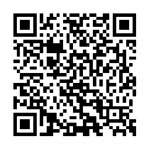 但是谁知道这些野狗会不会突然发疯起来乱咬人二维码生成