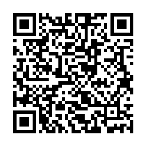 但是谁能够保证整个计划当中不会出现什么所谓的二维码生成