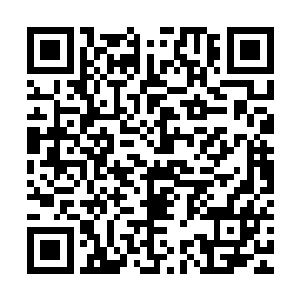 但是谁让他们为了追对面寒冬山的人而不顾危险的飞跃火山口呢二维码生成