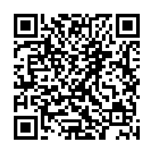 但是贝海不知道怎么的似乎是在渔季之中形成了一个习惯二维码生成