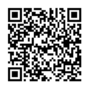 但是贝海薇坚信尚权智绝不可能因为一些影响就不动谁二维码生成
