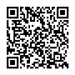 但是购物中心的电子卷帘门这会儿已被全部放下二维码生成