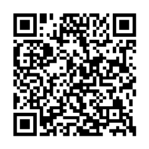 但是贵就贵在美颜丹的丹方可是已经消失很久了二维码生成