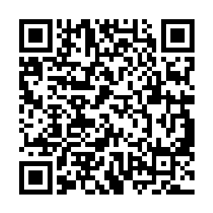 但是赵长枪却能通过他那双碧蓝的眼睛看到他内心的阴险二维码生成