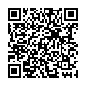 但是跑车里面的那两个人却是王家还有金家的少爷二维码生成