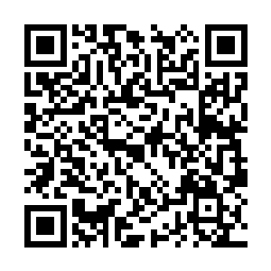 但是跟之前的石室中的禁制相比就有些微不足道了二维码生成