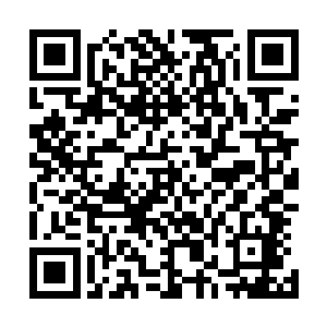 但是跟叶璃这样在战场上拼杀出来的人比起来显然还差得远二维码生成