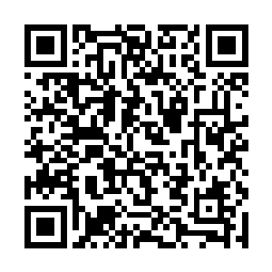 但是身上透明度和花纹却不太一样的水晶龙好奇问道二维码生成