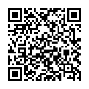 但是转眼间林烽竟然敢说出让狗表演这样滑稽的话来二维码生成