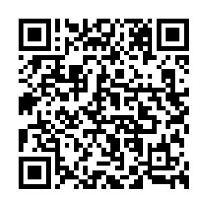 但是过不了多久他和凌菲的孩子就会从那里诞生二维码生成