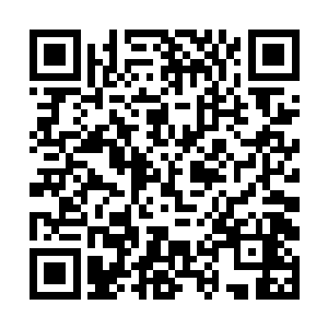 但是迎接他们的却是被大阵以更大的力量反弹了回来二维码生成