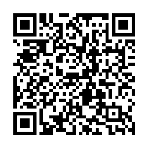 但是还是希望有一批质量高的弟子跟随许紫烟前往南方二维码生成