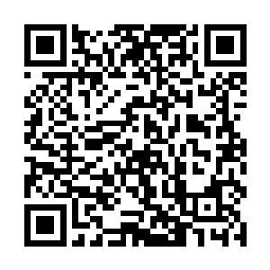 但是还是能够从叶秋的气息中感受到来自叶秋的疲惫二维码生成