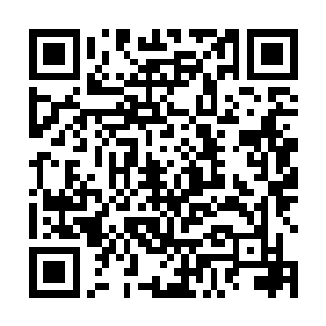 但是还没有动身就被市政fǔ秘书长陶成军打电话叫去了二维码生成