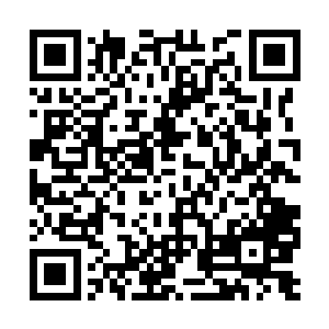 但是还没等它们感概于生命无常和幸运逃过一劫时二维码生成