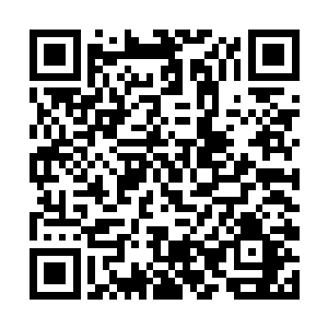 但是还留下了一个丁长生这个孙猴子在这里大闹天宫二维码生成