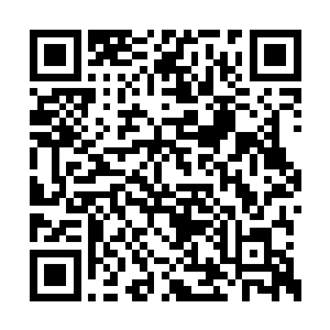 但是这一刻所有人的胃口都已经王世子吊起来了二维码生成