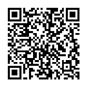 但是这一字一句似乎在敲击着这些土司们那已经受惊的小心脏二维码生成