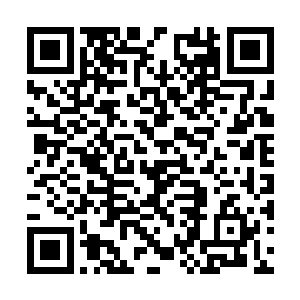 但是这一次却是一下子扎到了安祖拉人熊的屁股上二维码生成