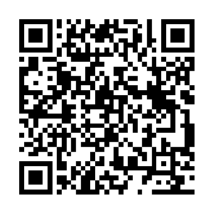 但是这一次洛水嫣还有苏媛媛已经被自己给抓到这么久了二维码生成