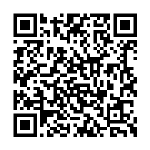 但是这一片中级冰灵中竟然出现了少数高阶冰灵二维码生成