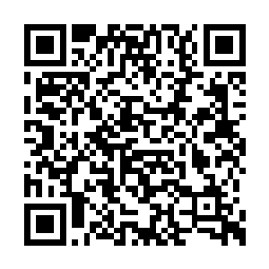 但是这一道剑芒依旧是对他们造成了不小的伤害二维码生成